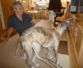 /album/a10-a-11-10-kryti-ronja-a-lord/kryti-rijen-2012-009-jpg/